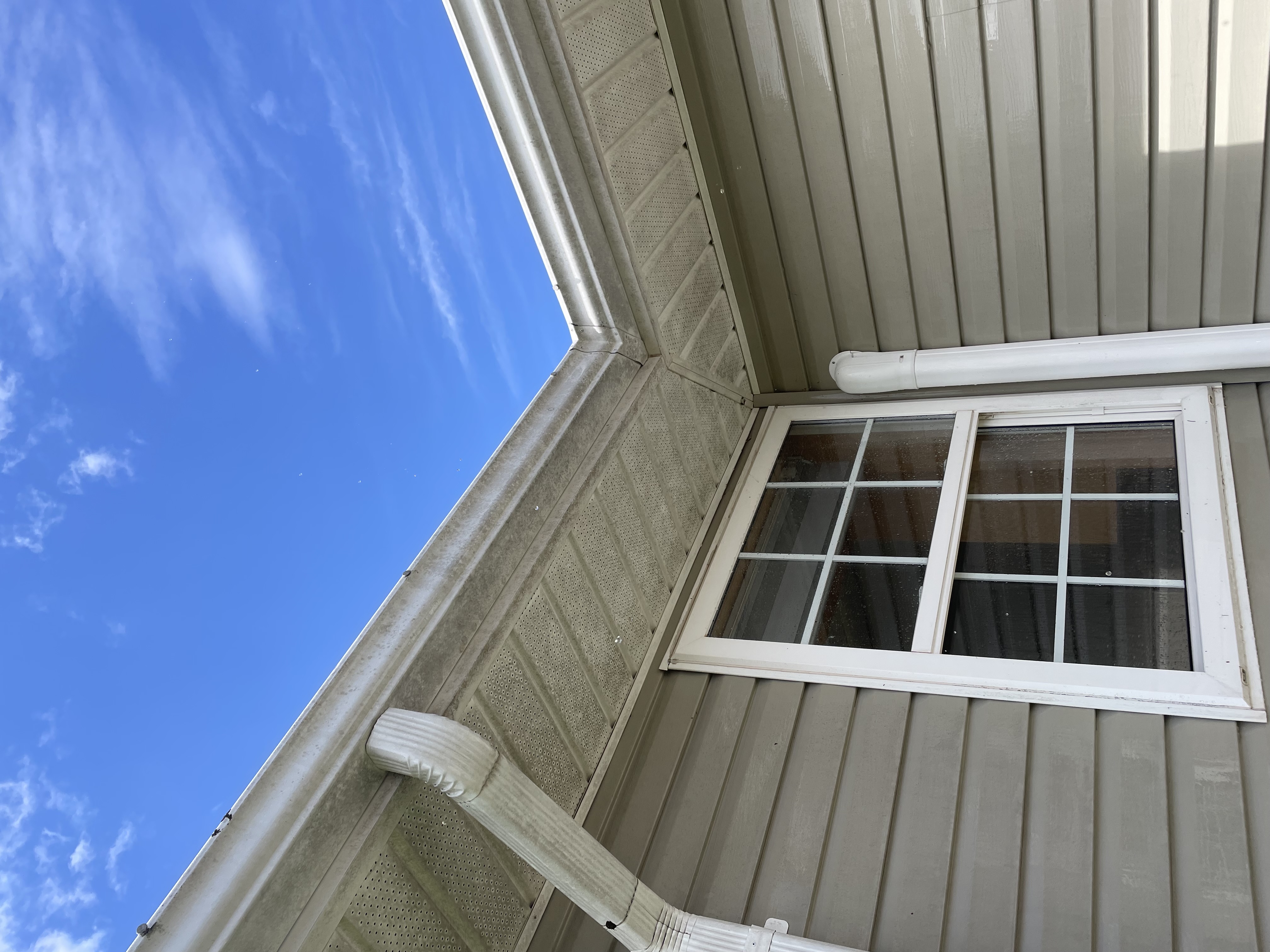 Dirty gutters before cleaning